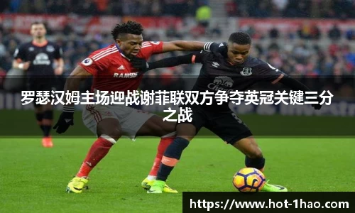 罗瑟汉姆主场迎战谢菲联双方争夺英冠关键三分之战